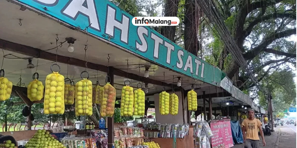 Produksi Apel di Malang Alami Penurunan Drastis