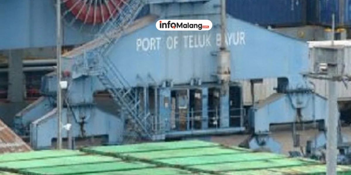 Rahasia Baru Atur Devisa Ekspor: SVBI-SUVBI Jadi Kunci!