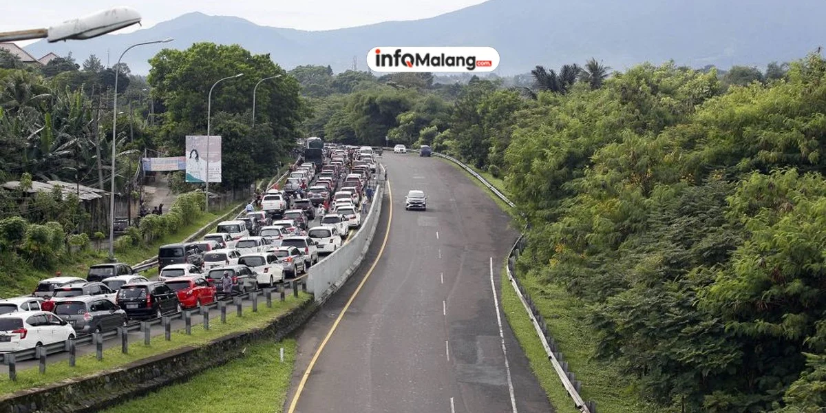 Rahasia Puncak Bebas Banjir Terungkap!
