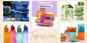 Rahasia Sukses Tupperware: Wanita Hebat di Baliknya!