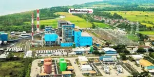 Rahasia di Balik Proyek IKN, Para Konglomerat Buka Suara!