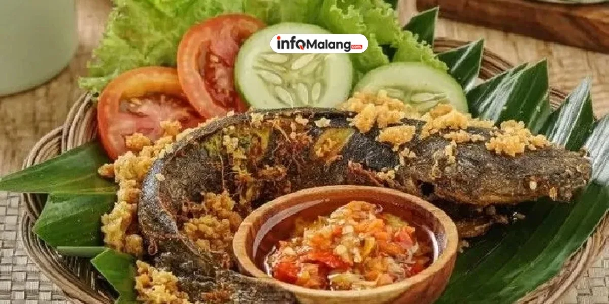 Rekomendasi Lele Goreng Terenak di Malang yang Wajib Dicoba