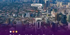 Rekor Baru! Negara Ini Punya Miliarder Terbanyak di Dunia!