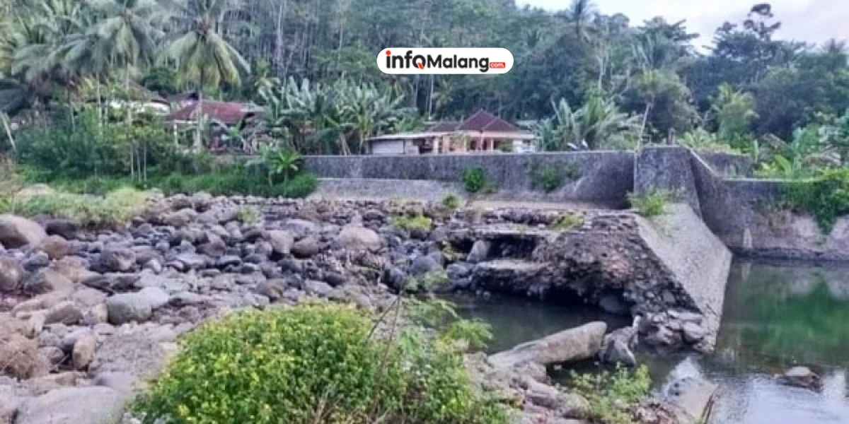 Rusaknya Dam Kedungbanteng Ancam Ratusan Hektar Sawah di Kabupaten Malang