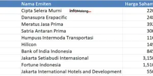 Saham-Saham Potensial 2025: Sektor Mana yang Akan Melejit?
