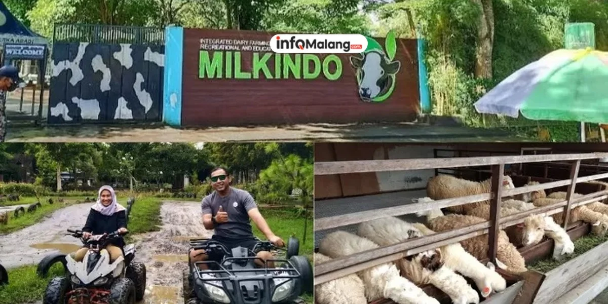 Satu Keluarga di Kepanjen Kompak Jadi Sindikat Curanmor, Anak di Bawah Umur Ikut Terlibat