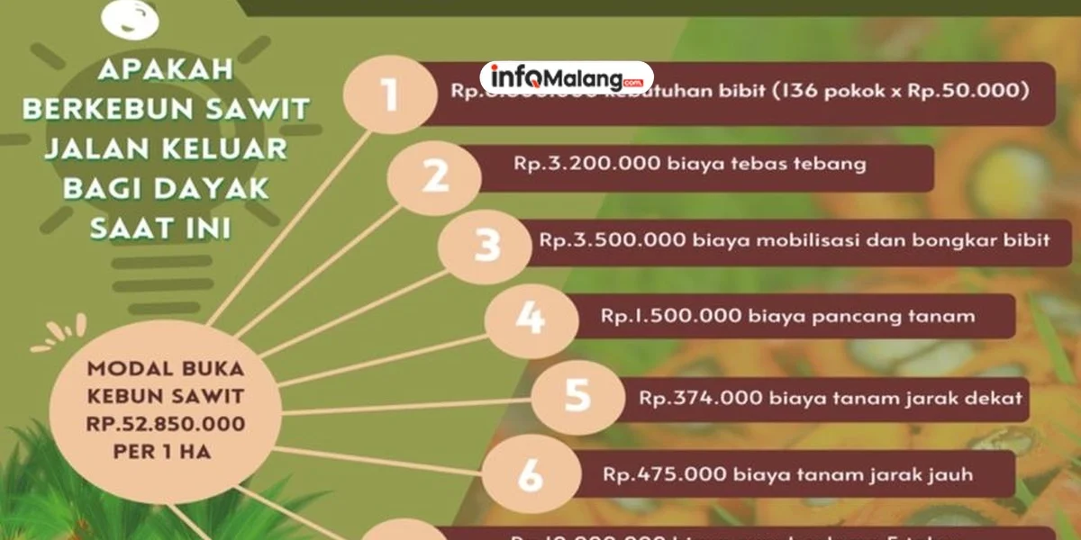 Sawit Sumut: Harta Karun yang Terancam Terbuang?