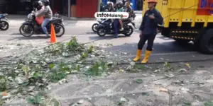 Sebuah Truk Tabrak Pohon di Sukun Kota Malang, Proses Evakuasi Masih Berlangsung