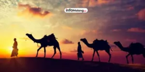 Sejarah 1 Muharam dan Hijrahnya Nabi Muhammad SAW ke Madinah