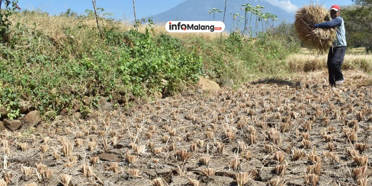 Selama Bulan September, Kekeringan Ancam Puluhan Desa di Kabupaten Malang
