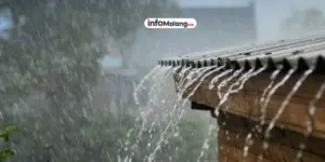 Suasana Kota Malang Setelah Hujan: Sejuk dan Menawan