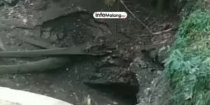 Sumber Air Umbul Sengkaring di Donomulyo Mengering, Fenomena Langka dalam 100 Tahun Terakhir