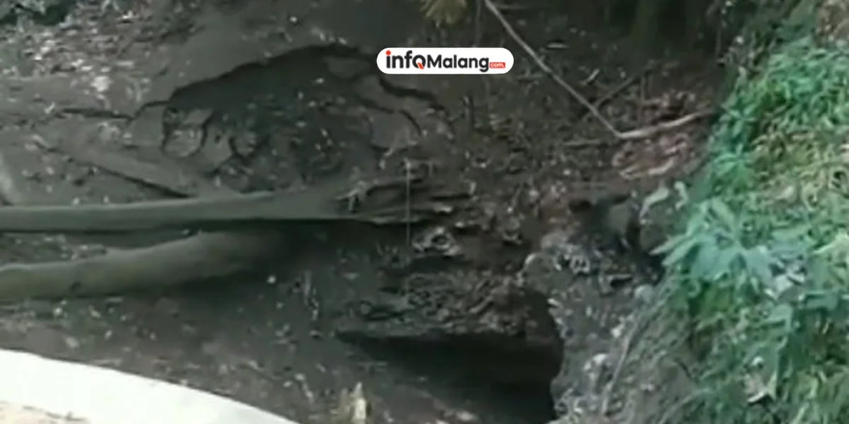 Sumber Air Umbul Sengkaring di Donomulyo Mengering, Fenomena Langka dalam 100 Tahun Terakhir