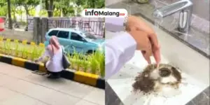 Syok Banget! Momen Cewek Ini Auto Ambil Tanah Buat Bersuci Usai Pegang Sepatu dari Kulit Babi