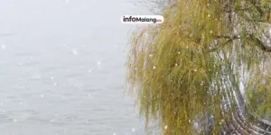 Tantangan AI dan Teknologi, Lulusan Fasilkom Unilak Diminta Siap Beradaptasi di Dunia Kerja