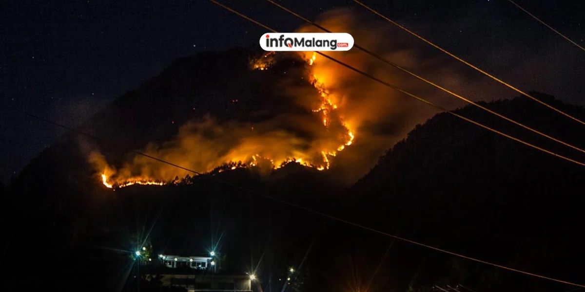 Terjadi Kebakaran Hutan di Gunung Panderman