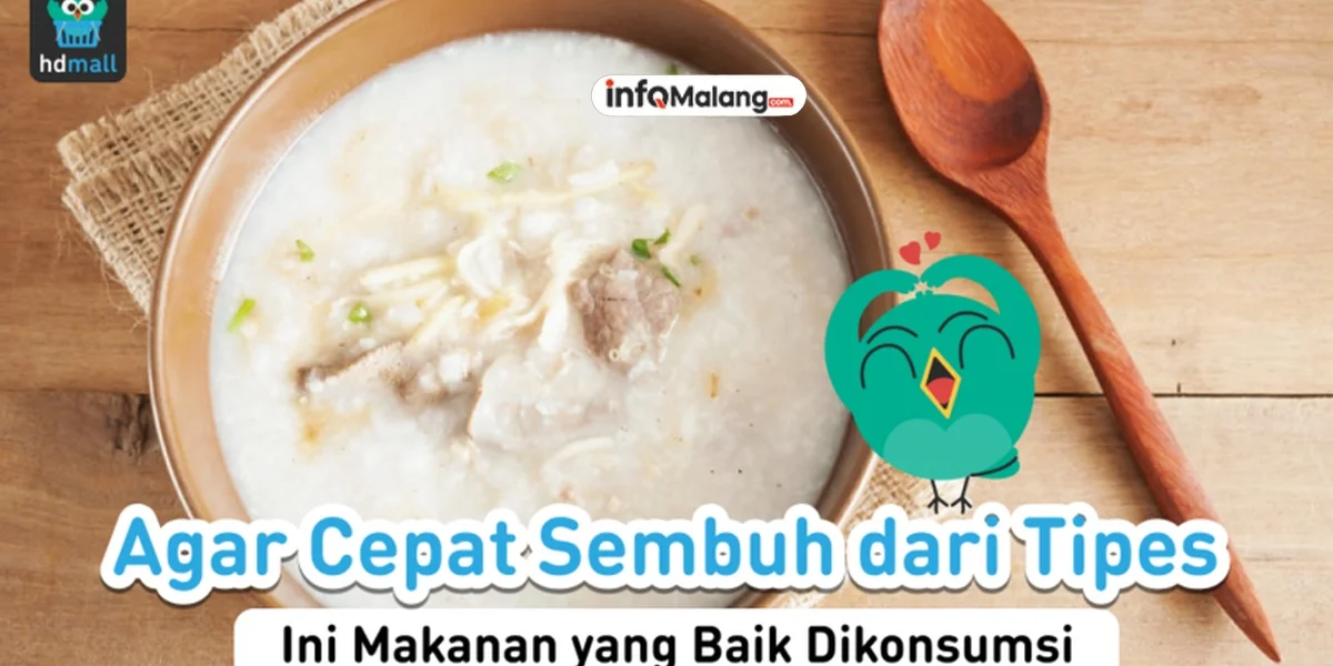 Tipes (Demam Tifoid) Penyebab, Gejala, dan Pola Makan yang Dianjurkan Saat Pemulihan
