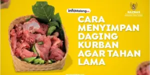 Tips Menyimpan dan Mengolah Daging Kurban agar Tahan Lama