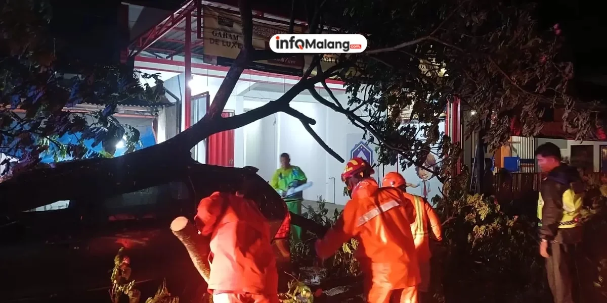 Tragedi Pohon Tumbang di Malang Akibatkan Dua Orang Tewas