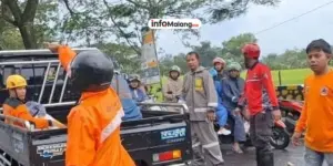 Tragedi Pohon Tumbang di Malang yang Menimpa Kendaraan Sebabkan 2 Orang Tewas