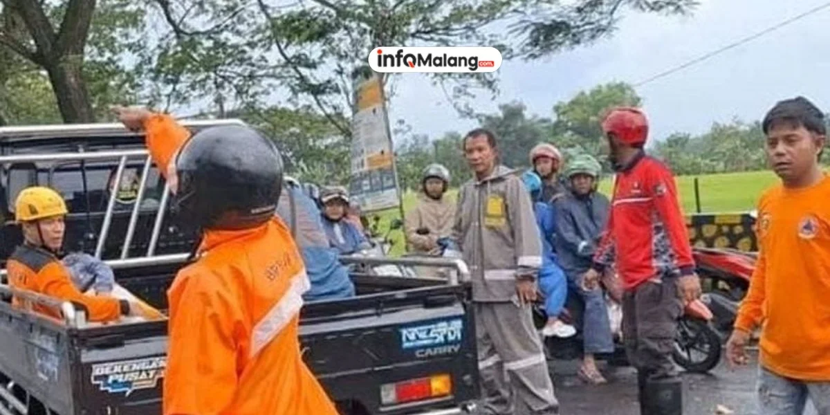 Tragedi Pohon Tumbang di Malang yang Menimpa Kendaraan Sebabkan 2 Orang Tewas