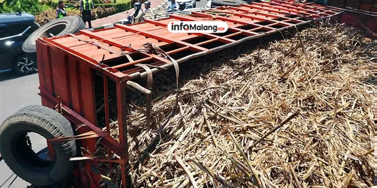 Truk Bermuatan Tebu Tumpah di Tikungan Jalan Raden Panji Suroso, Depan Polsek Blimbing Macet