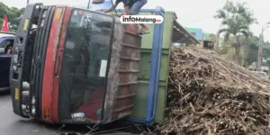 Truk Tebu Terguling di Jalibar Kepanjen, Jalan Menuju Blitar Tersendat