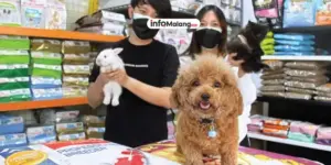 VDB Pet Shop 1: Solusi Terpercaya untuk Kebutuhan Hewan Kesayangan Anda