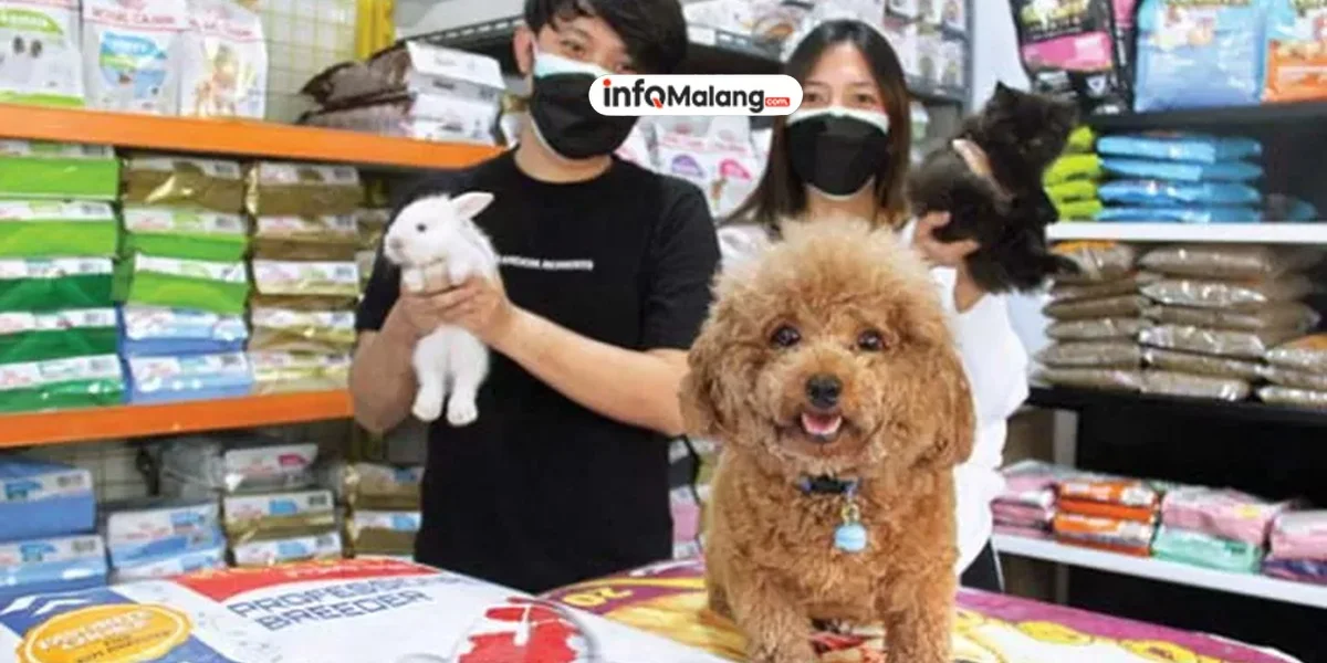 VDB Pet Shop 1: Solusi Terpercaya untuk Kebutuhan Hewan Kesayangan Anda