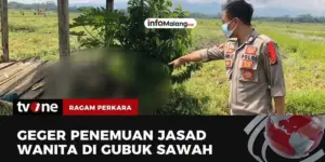 Warga Geger Temuan Jasad Perempuan di Gubuk Sawah