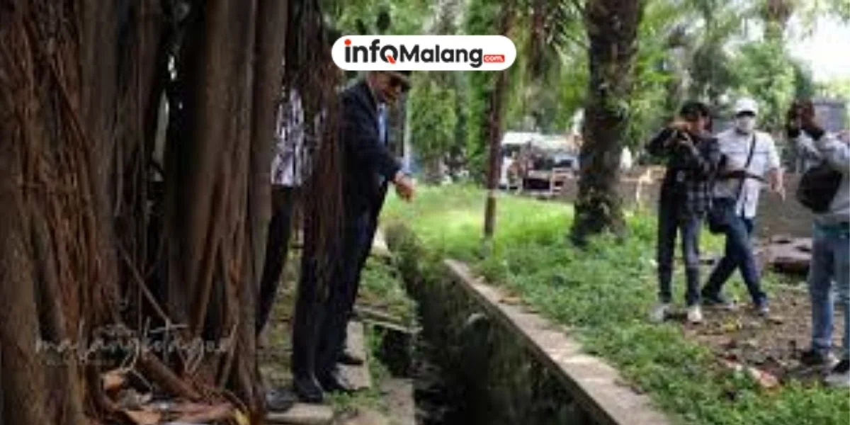 Warga Khawatir Pohon Rentan Roboh karena Proyek Drainase Suhat