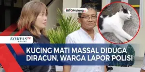 Warga Malang Laporkan Kasus Pembunuhan 16 Kucing ke Polresta Malang Kota