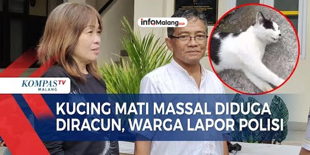 Warga Malang Laporkan Kasus Pembunuhan 16 Kucing ke Polresta Malang Kota