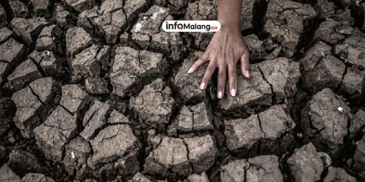 Waspada! Ancaman Mengeringnya Dana Bank di Tahun Ini!