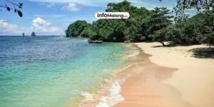 Wisata Pantai Tiga Warna: Keindahan Alam dan Konservasi Lingkungan