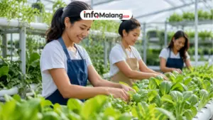 Hari Ini, BRI Dorong Perempuan Berdaya Lewat Urban Farming Program BRInita