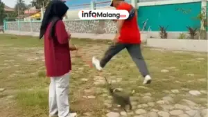 Pensiunan ASN Blora Terjerat Kasus Kekerasan Hewan Ini Faktanya