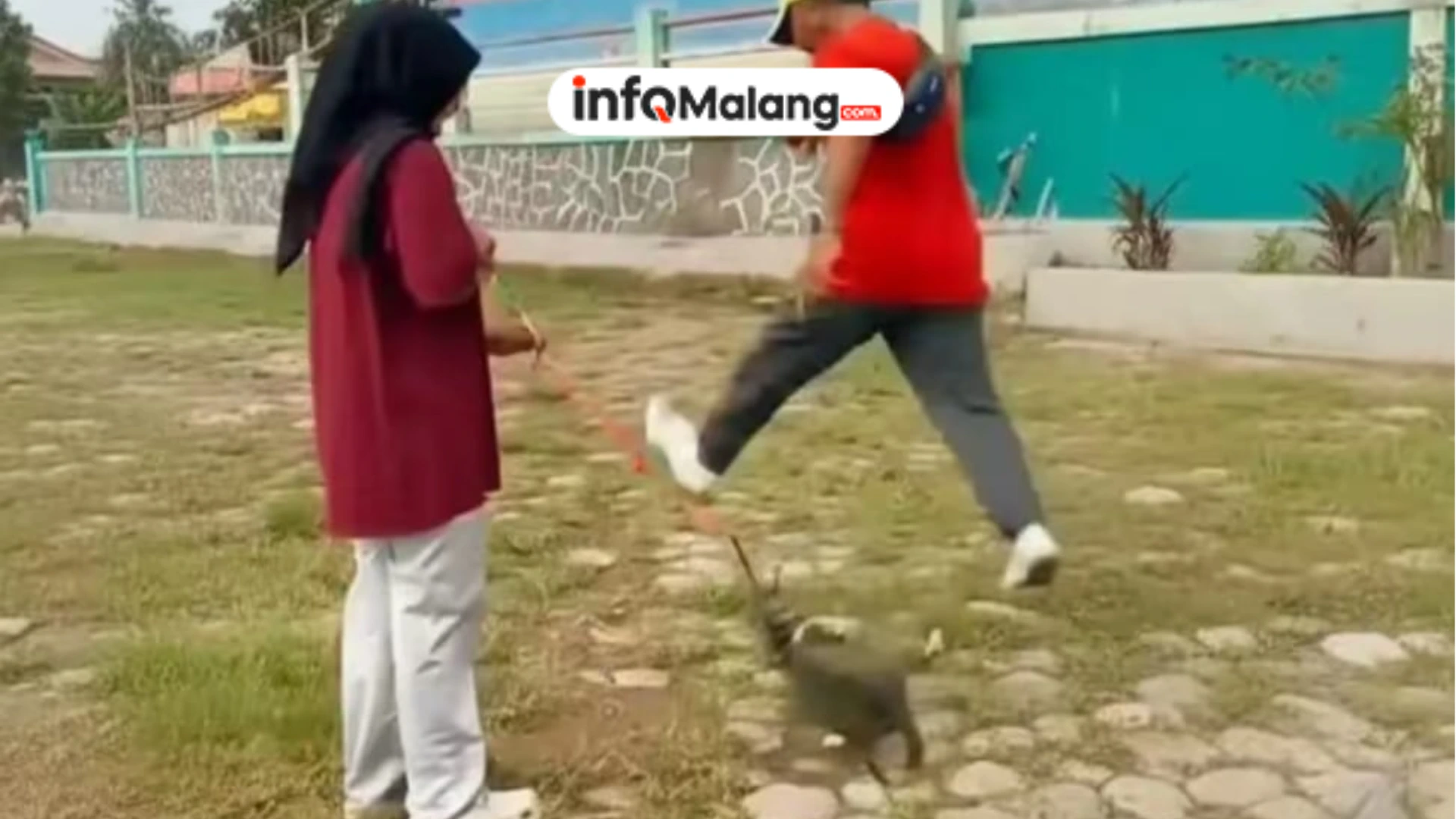 Pensiunan ASN Blora Terjerat Kasus Kekerasan Hewan Ini Faktanya