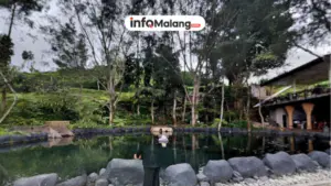 Telaga Madiredo Pujon, Hidden Gem Favorit dengan Pesona Alam yang Masih Asri