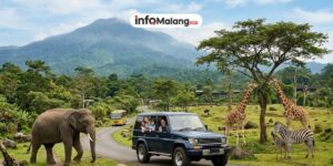 Liburan Seru di Taman Safari II Prigen, Destinasi Wisata Keluarga Penuh Petualangan