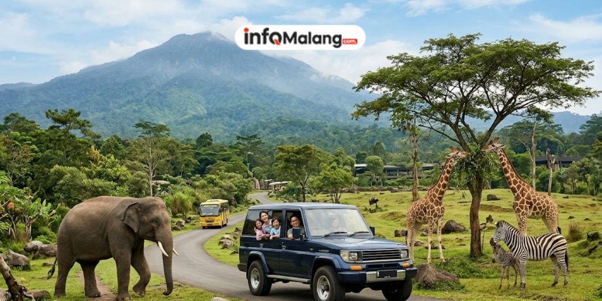 Liburan Seru di Taman Safari II Prigen, Destinasi Wisata Keluarga Penuh Petualangan