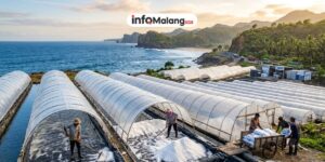 Pemkab Malang Gandeng Investor Garap Potensi Garam Tunnel, Dorong Ekonomi Pesisir Selatan