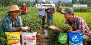 Petani Nilai Pupuk Non-Subsidi Lebih Berkualitas dan Stabil untuk Hasil Pertanian