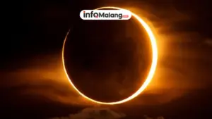Jadwal Lengkap Cara Mengamati Gerhana Bulan Total