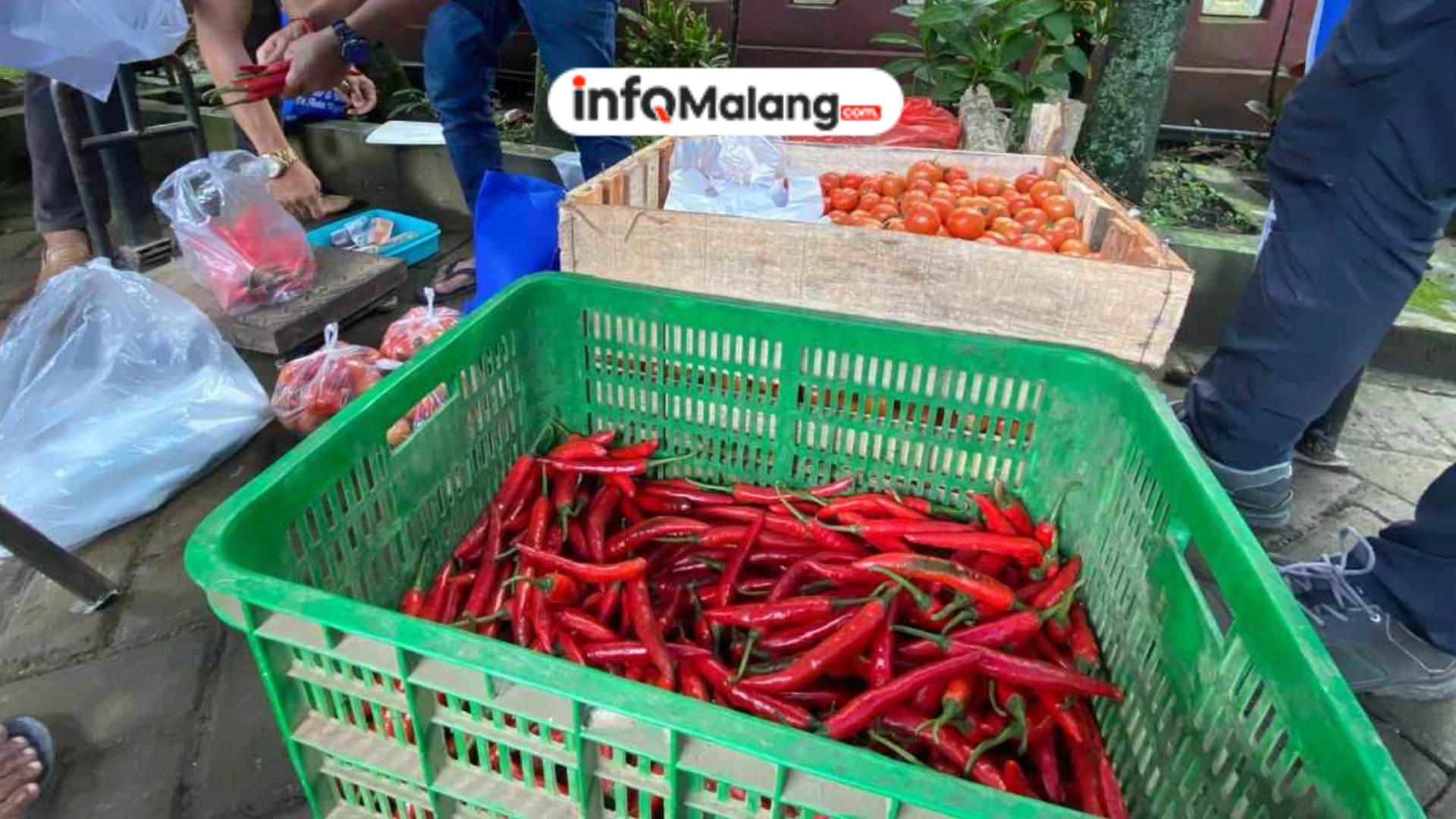 Harga Cabai Rp95 Ribu di Malang, Pemerintah Siapkan Langkah Pengendalian
