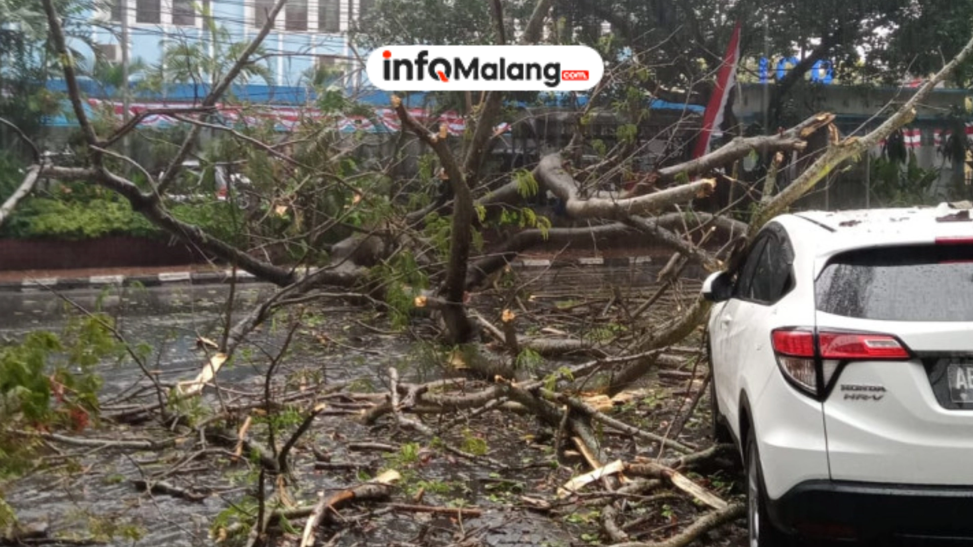 Angin Kencang di Malang Analisis BMKG Januari 2026