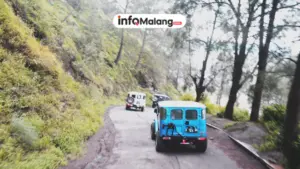 Naik Apa dari Malang ke Bromo? Ini 5 Pilihannya