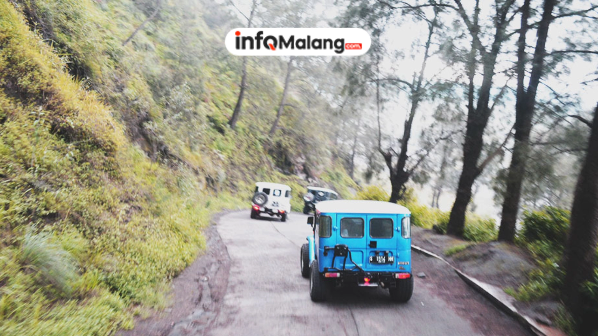 Naik Apa dari Malang ke Bromo? Ini 5 Pilihannya