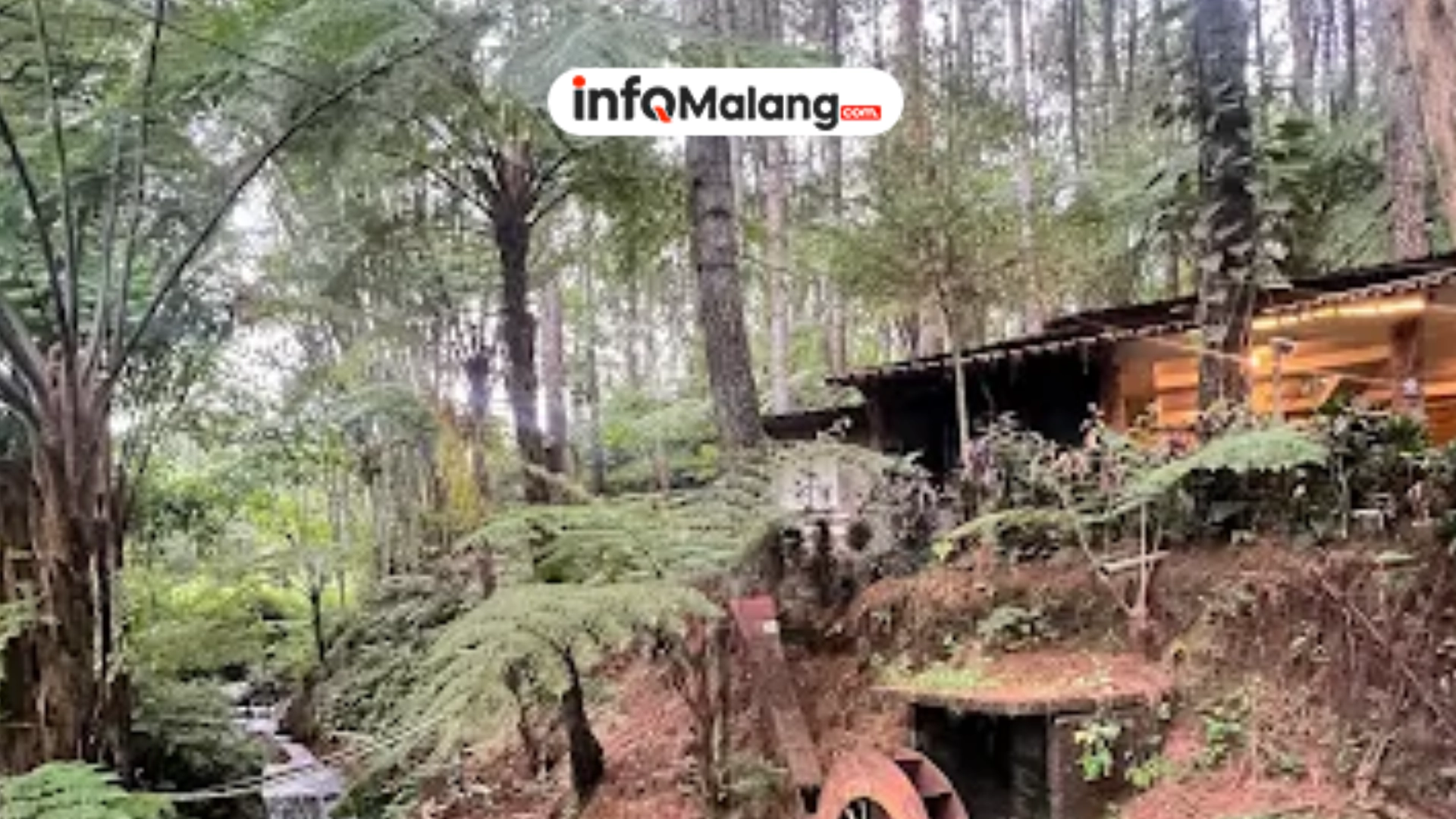 Alas Pakis Wagir Malang, Cafe Hidden Gem di Tengah Hutan dengan Harga Mulai 10 Ribuan