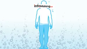 Dehidrasi Terselubung Tanda-Tanda yang Sering Diabaikan